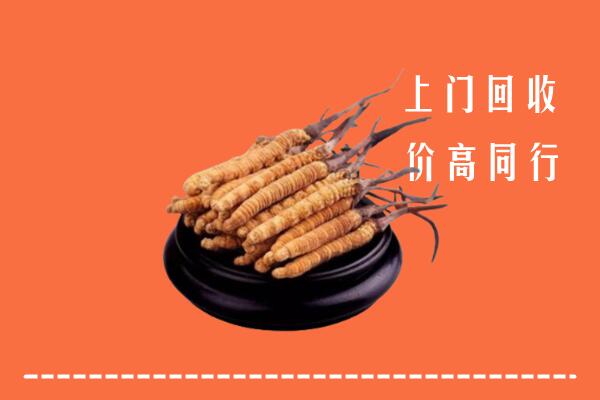 高价求购：宝鸡回收散虫草