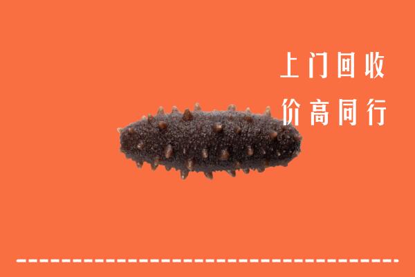 高价求购：宝鸡回收海参