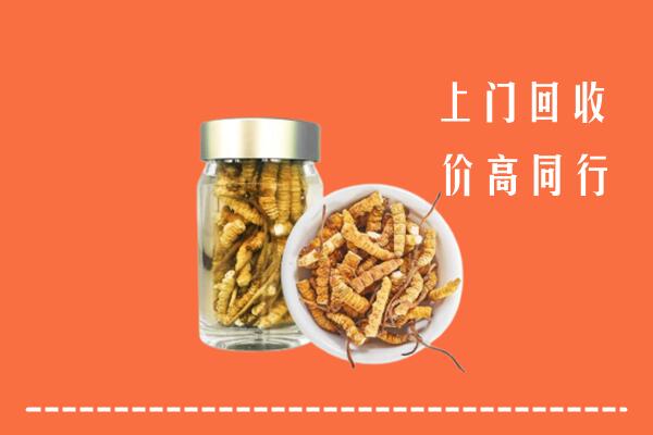 宝鸡回收冬虫夏草